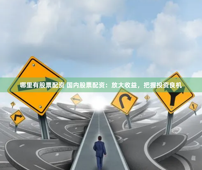 哪里有股票配资 国内股票配资：放大收益，把握投资良机