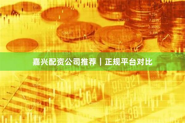 嘉兴配资公司推荐｜正规平台对比